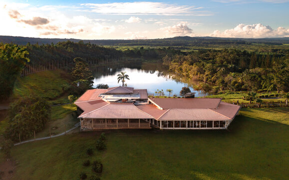 Aerial view of a beautiful lake surrounded by a tea plantation and restaurant, Bois Cherie, Mauritius.