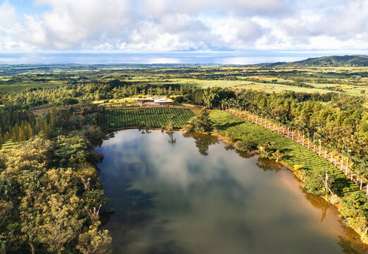 Aerial view of serene lake with beautiful reflection surrounded by lush tea plantation and trees, Bois Cherie, Mauritius.