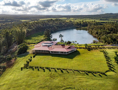 Aerial view of a beautiful lake surrounded by a lush tea plantation and a tranquil restaurant, Bois Cherie, Mauritius.