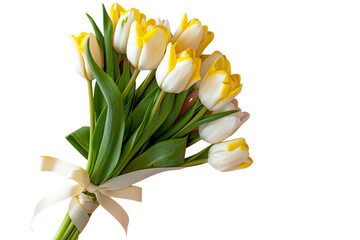 Fototapeta premium A bouquet of yellow and white tulips tied with a beautiful ribbon on the left side over a white background