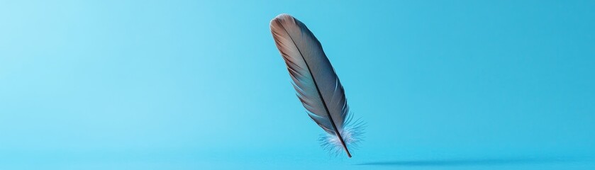 Fototapeta premium Elegant Feather Floating on Soft Blue Background with Gentle Shadows
