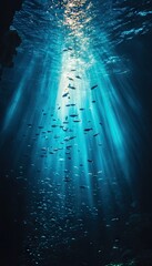 A serene underwater scene illuminated by sunlight, showcasing fish and bubbles.