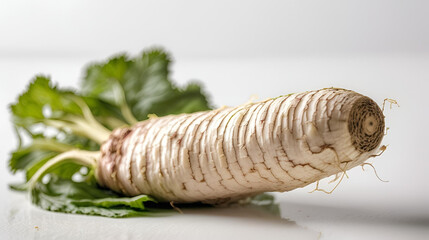 Horseradish isolated on white background 