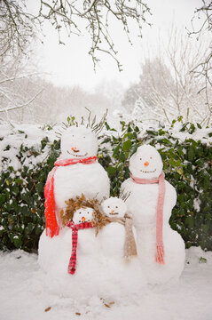 Snowman's family portrait
