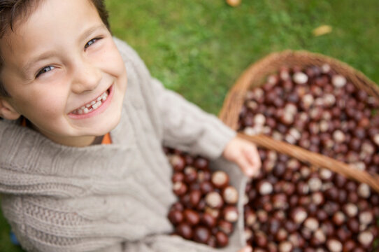 Smiling young boy holding chestnuts
