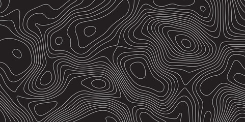 Topographic map lines, contour background. Image grid geographic relief topographic contour line maps cartography texture. Wood texture imitation. similarcartography, Topography, geography,  Business.