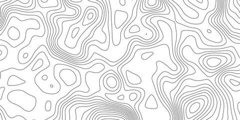 Topographic map lines, contour background. Image grid geographic relief topographic contour line maps cartography texture. Wood texture imitation. similarcartography, Topography, geography,  Business.
