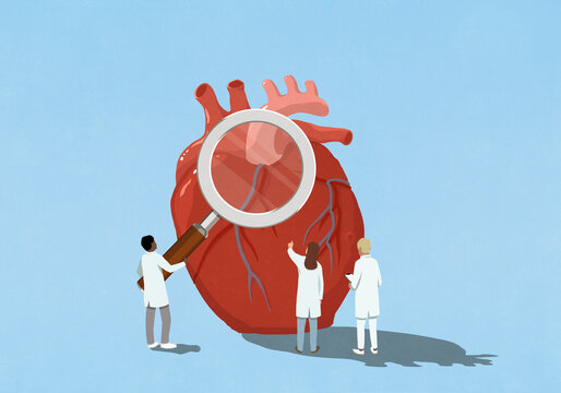 Cardiologist doctors holding large magnifying glass over heart
