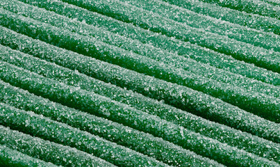 Full frame close up green apple fruit gum candy speckled with sugar crystals
