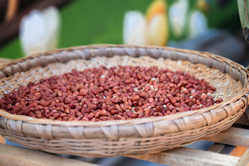 peanuts in the garden