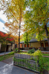 autumn in the liuba qinling mountains, china