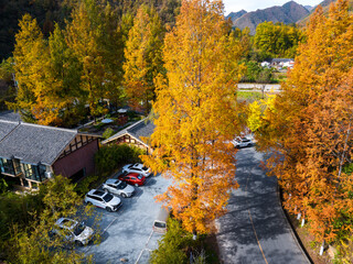 autumn in the liuba qinling mountains, china