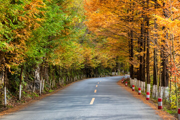 autumn in the liuba qinling mountains, china