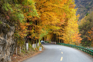 autumn in the liuba qinling mountains, china