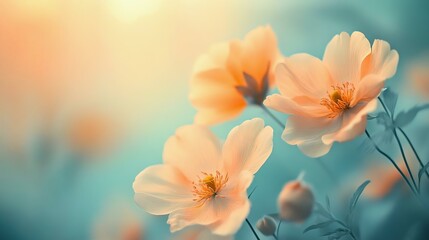 Fototapeta premium Delicate orange flowers basking in soft light, perfect for serene, uplifting designs. Captures beauty and tranquility with elegant simplicity.