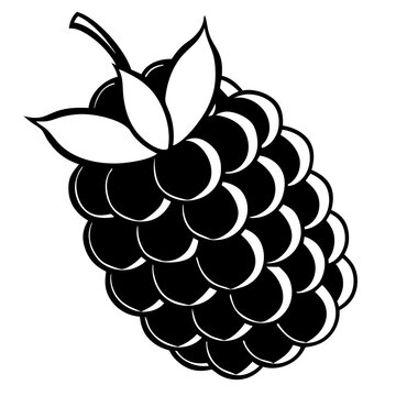 black and white blackberry fruit clip art preview
