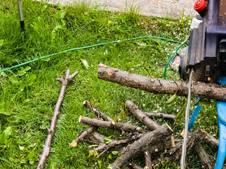 A man cuts down a tree with an electric saw. Sawdust flies in all directions from the chainsaw. Cutting wood with a chain saw