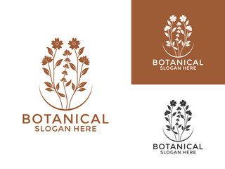 Luxury Vintage nature botanical logo vector. Decorative style floral logo. Plant logo design template