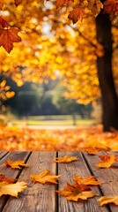 Autumn Leaves on Wooden Surface - Fall Nature Background