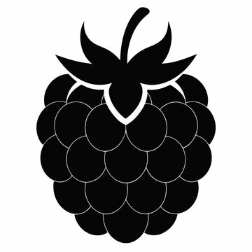black blackberry fruit simple design clip art preview
