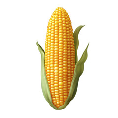 yellow corn on cob isolated on white transparent background