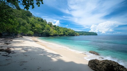 Obraz premium Secluded Tropical Beach Paradise: Azure Waters and White Sands