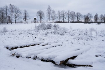 Scenery of snowy countryside with cut tree trunks lie on edge of road.
