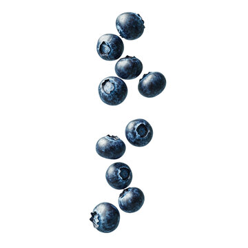 Levitating blueberries, fresh and vibrant, falling and flying in mid-air, isolated on a transparent background. Ideal for health, organic food, and fruit-themed microstock visuals, Generative AI