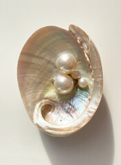 Several beautiful mother-of-pearl jewelry are lying in a seashell