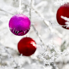 A pink and two red christmas tree baubles hanging in a tree outside in the white frozen winter landscape