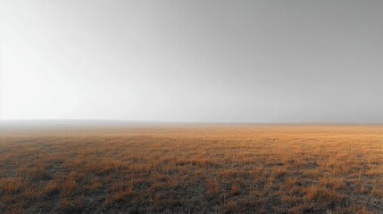 Expansive golden grassland under a hazy sky at dawn in an open landscape