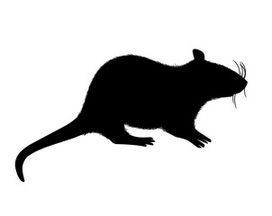 vector illustration, design element character, in the form of a black silhouette of a mouse or rat sitting with a tail, paws and ears on a white background