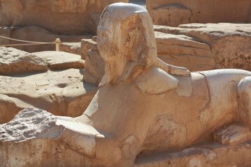 Ancient sphinx statue in Luxor temple in Egypt.