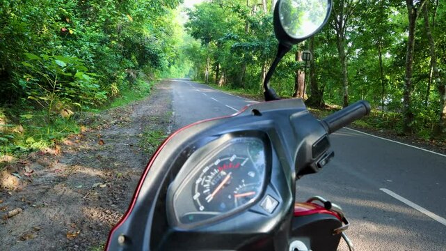 scooty two wheeler journey on empty forest road with lush green forests at morning video is taken at havelock island andaman and nicobar islands india on Nov 13 2024.
