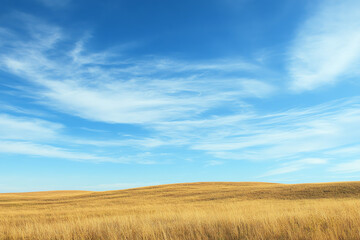 A serene landscape featuring golden fields under a deep blue sky with wispy clouds, evoking a sense of peace and tranquility.