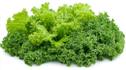 Obraz premium Lush Community Garden Plot Overflowing with Leafy Greens