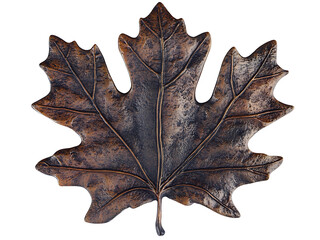 Naklejka premium dry oak leaf isolated on transparent or white background, png autumn foliage cutout