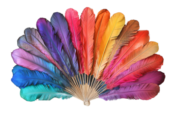 A vibrant fan of colorful feathers showcasing an array of hues against a white background, ideal for design and art projects.