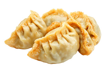Delicious dumplings featuring a golden-brown exterior, carefully crafted pleats, and a savory filling, perfect for culinary delights.