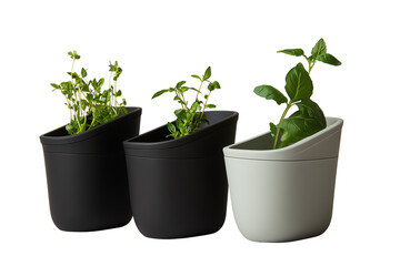 Three stylish planters in black and gray colors filled with fresh herbs, showcasing a modern design on a clear background.
