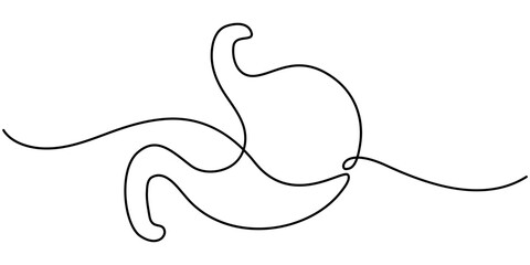 Single continuous line art anatomical human stomach silhouette. Healthy medicine concept design world digestive health day one sketch outline drawing vector illustration, Continuous one line drawing.