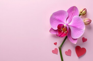 Festive Valentine's Day layout concept with homemade chocolate hearts, orchid, white sheet template with love elements and free space for text on light pink background vertically