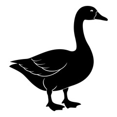 Goose Silhouette vector illustration