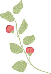 wild floral illustration