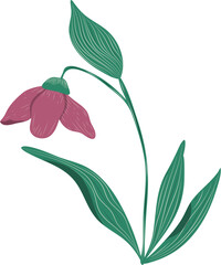 wild floral illustration