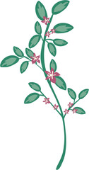 wild floral illustration