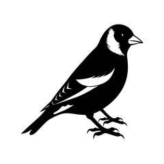 Goldfinch Silhouette vector illustration