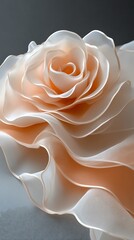 Peach fabric rose, layered petals, soft light.