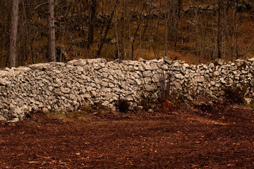 An old dry stone wall in the woods of the Karst