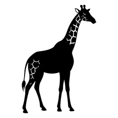 Giraffe Silhouette vector illustration